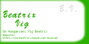 beatrix vig business card
